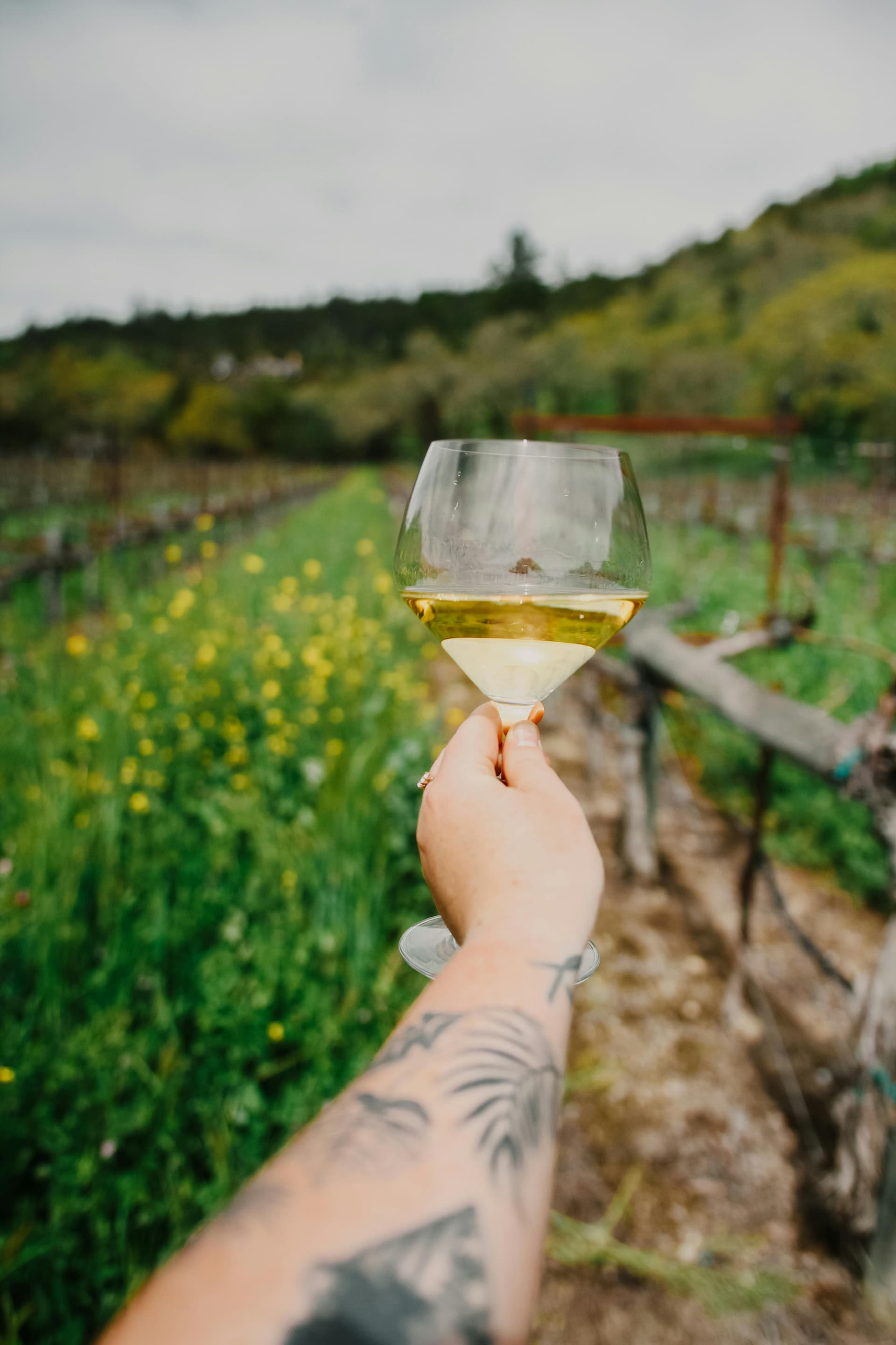 Luxury Vineyard Experience
